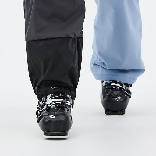 Elastische Sneeuwvanger